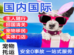 丹东浪头空运公司国际宠物托运 【国